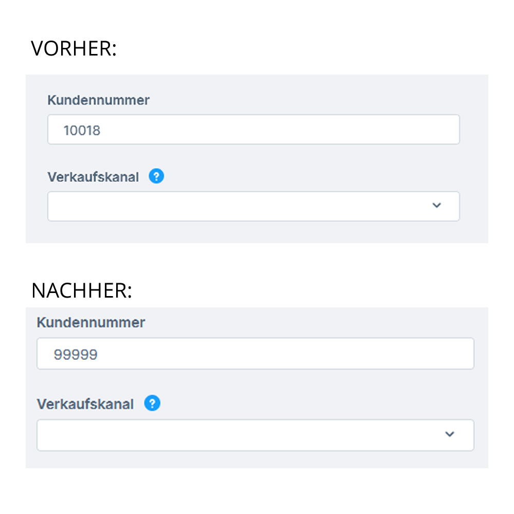 Kundennummer manuell im Backend ändern